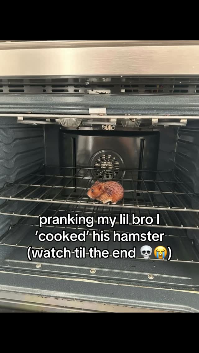 he dtm, he can buy another pet 😭 #ai #prank #brother #fyp #hamster