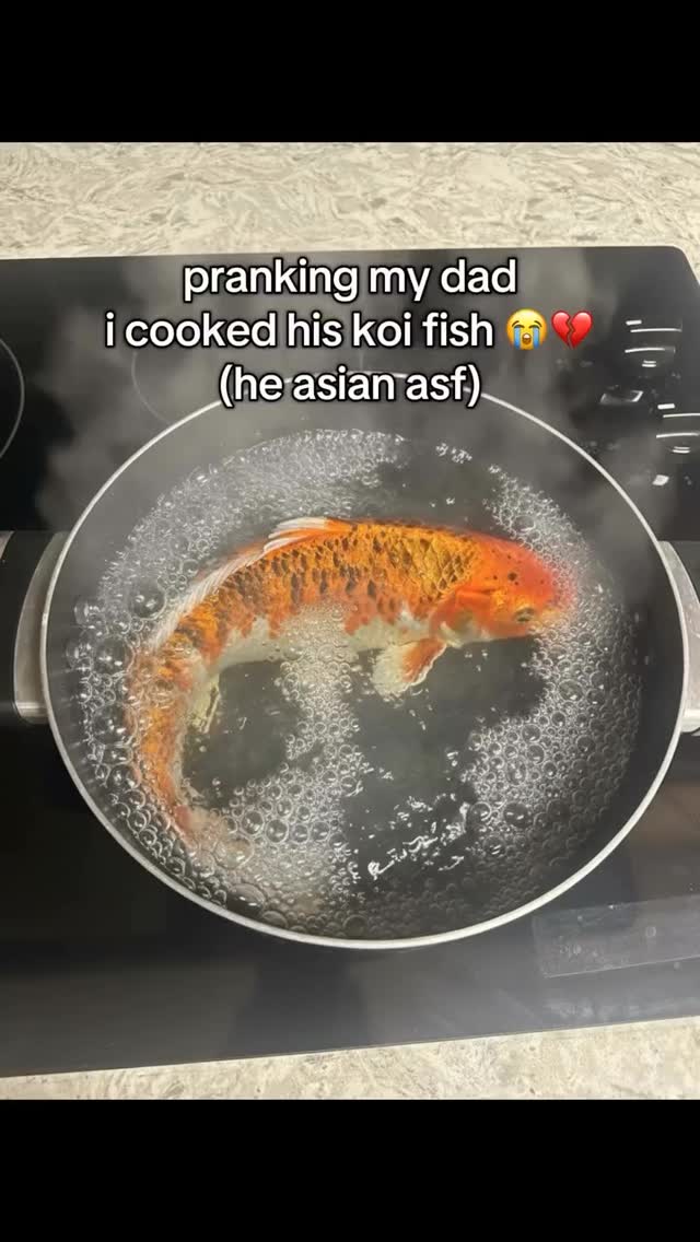 Why you cook? 📹 @cluelesskelvin 
-
#prank #koi  #9gag