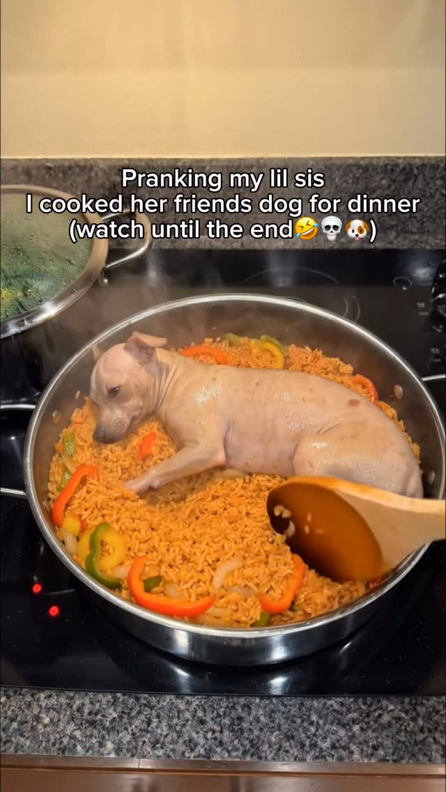He ran for freedom🤣 #prank #dog #prankvideo