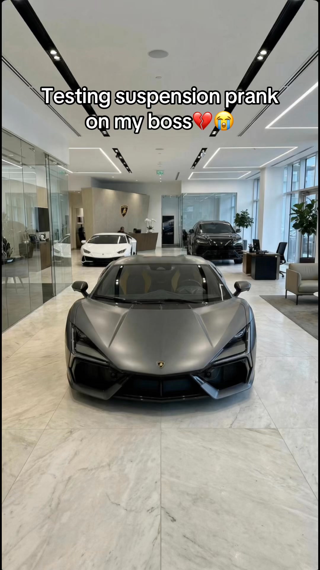 #lambo #cars #funnyreels #prankvideo