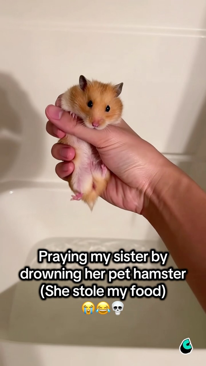 I love Pranking her 😭🤣 #prank #ai #sister #hamster #cantinaaie8s8gy