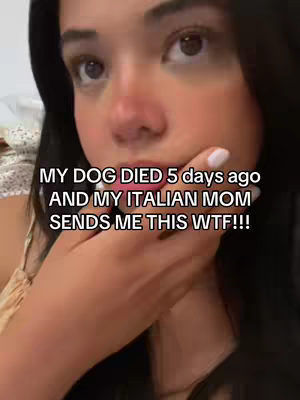 i am so done #italians #CantinaAIUM9T69 