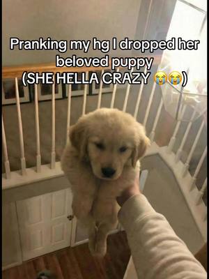 BRO THIS LOOKS SO REAL 😭😭😭 (ITS AI 💀) #puppy #goldenretriever #ai #prank #blowthisup 