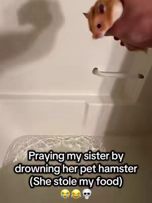 I love Pranking her 🤣😭 #prank #ai #fyp #hamster #cantinaaie8s8gy 