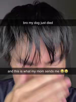my dog just died 😭😭😭 #ai #prank #dog #funny #CantinaAIGMDHGB 