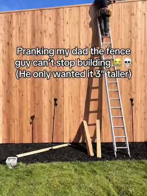 he's still a bit mad at me but hey our backyard fly asf now @cantina #prank #funny