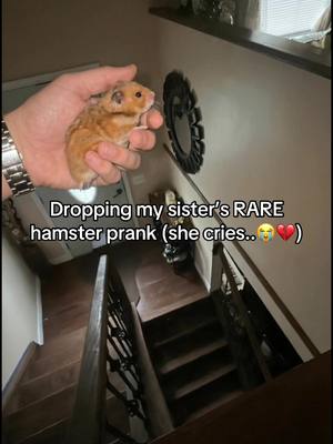 Dw he’s safe😭💔✌🏿 #hamster #prank #littlesister #funnyy 