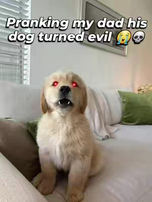he almost went crazy! #Halo #haloai #pranks #viral #ai 