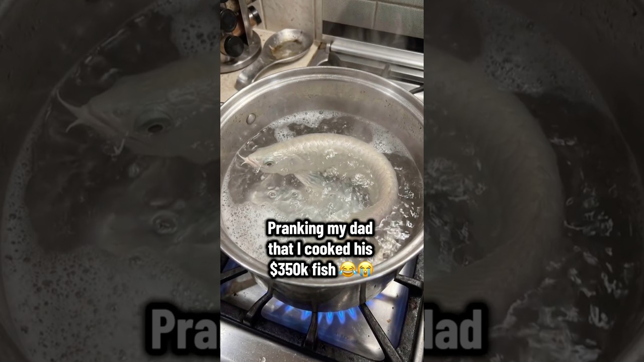 He did NOT find this funny 💀💀 #prank #dad #fish #pets