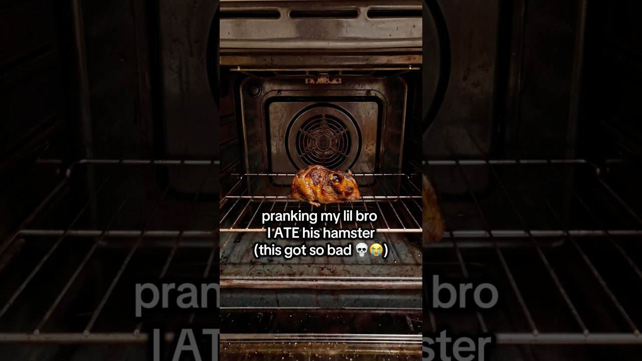 The last text is WILD 💀💀 #prank #brother #pets #hamster