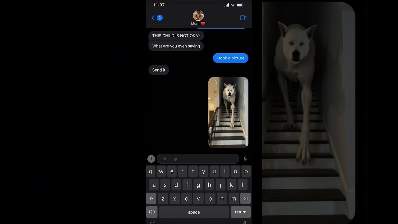 did i go too far? 😭😭😂 #prankvideo #mom #funny #skinwalker