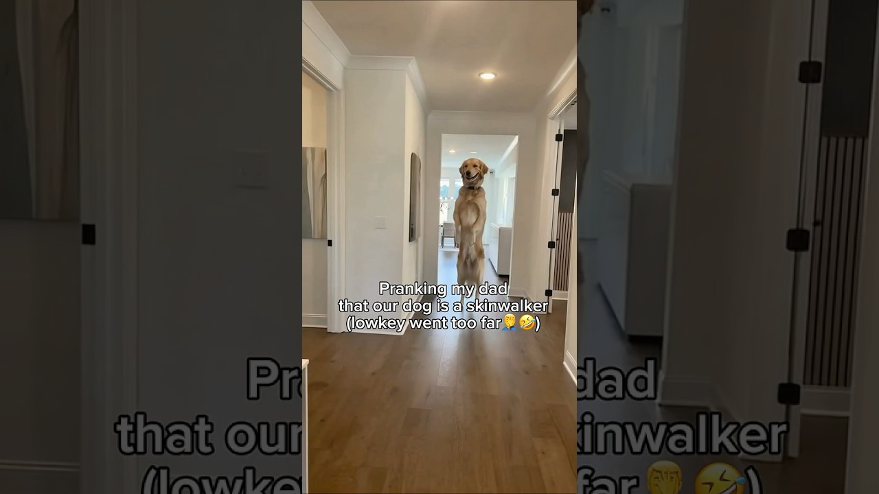 he's actually scared💀💀🤣🤣 #prank #prankvideo #skinwalker