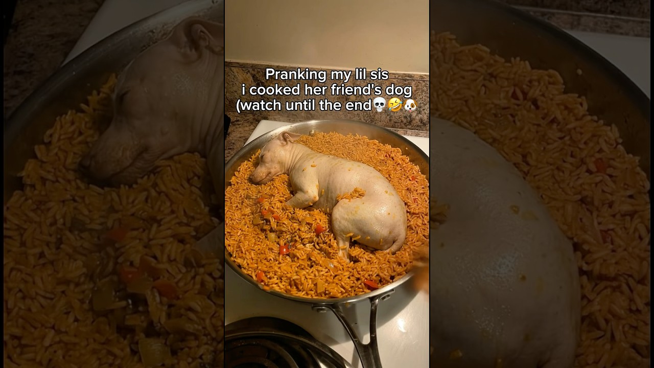 She will choose next time💀🤣 #prank #prankvideo #dog #nyc